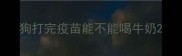 狗打完疫苗能不能喝牛奶