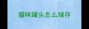 猫咪罐头怎么储存