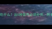 泰迪犬除了狗粮还吃什么这5种营养必须补充附食谱和禁忌清单