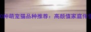 最受欢迎的10种萌宠猫品种推荐高颜值家庭伴侣猫饲养指南