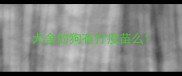 犬舍的狗有打疫苗么