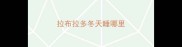 拉布拉多冬天睡哪里
