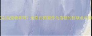 白狐狸可以当宠物养吗全面白狐狸作为宠物的优缺点与饲养指南