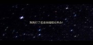 狗狗打了疫苗抽搐呕吐咋办
