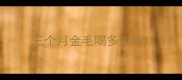 三个月金毛喝多少水