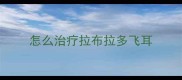 怎么治疗拉布拉多飞耳