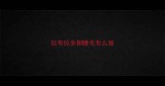 拉布拉多倒睫毛怎么拔
