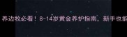 边牧寿命全攻略养边牧必看8-14岁黄金养护指南新手也能养出健康聪明边牧