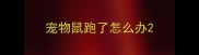 宠物鼠跑了怎么办