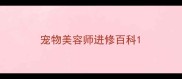 宠物美容师进修百科