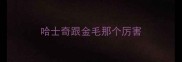 哈士奇跟金毛那个厉害