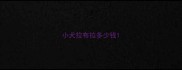 小犬拉布拉多少钱