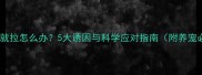 哈士奇一吃就拉怎么办5大诱因与科学应对指南附养宠必读清单