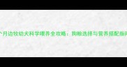 2个月边牧幼犬科学喂养全攻略狗粮选择与营养搭配指南