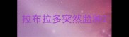 拉布拉多突然脸肿