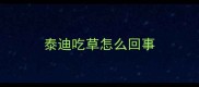 泰迪吃草怎么回事