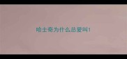 哈士奇为什么总爱叫