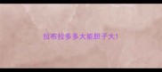 拉布拉多多大能胆子大