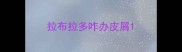 拉布拉多咋办皮屑