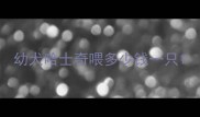 幼犬哈士奇喂多少钱一只