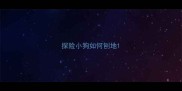 探险小狗如何刨地