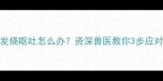 茶杯犬疫苗后发烧呕吐怎么办资深兽医教你3步应对幼犬疫苗反应