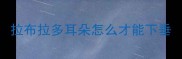 拉布拉多耳朵怎么才能下垂