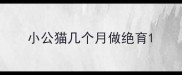 小公猫几个月做绝育