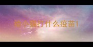 给小猫打什么疫苗