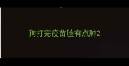 狗打完疫苗脸有点肿