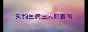 狗狗生病主人陪着吗