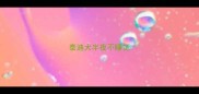 泰迪犬半夜不睡觉