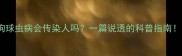 狗狗球虫病会传染人吗一篇说透的科普指南