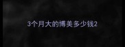 3个月大的博美多少钱