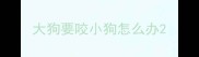 大狗要咬小狗怎么办