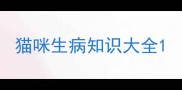 猫咪生病知识大全