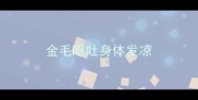 金毛呕吐身体发凉