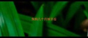 狗狗几个月掉牙齿