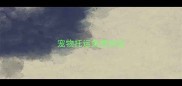 宠物托运免责协议