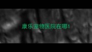 康乐宠物医院在哪
