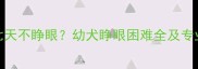 金毛幼犬七天不睁眼幼犬睁眼困难全及专业护理指南