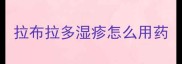 拉布拉多湿疹怎么用药