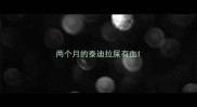 两个月的泰迪拉屎有血