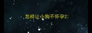 怎样让小狗不怀孕