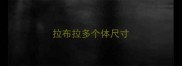 拉布拉多个体尺寸