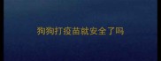 狗狗打疫苗就安全了吗