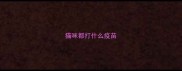猫咪都打什么疫苗