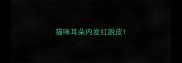 猫咪耳朵内发红脱皮