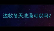 边牧冬天洗澡可以吗