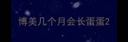 博美几个月会长蛋蛋